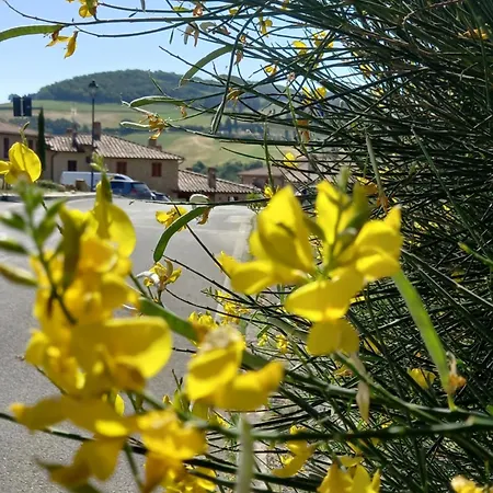 Con Vista Panoramica * Pienza